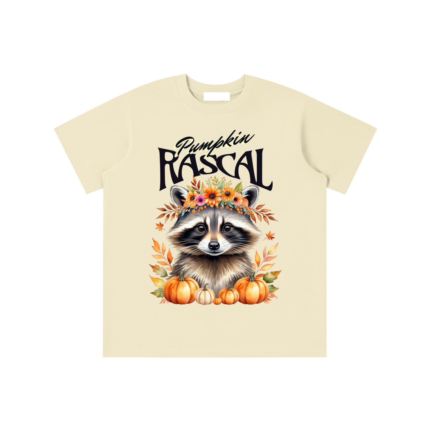 Autumn,Fall,Rascal,Raccoon,Cute