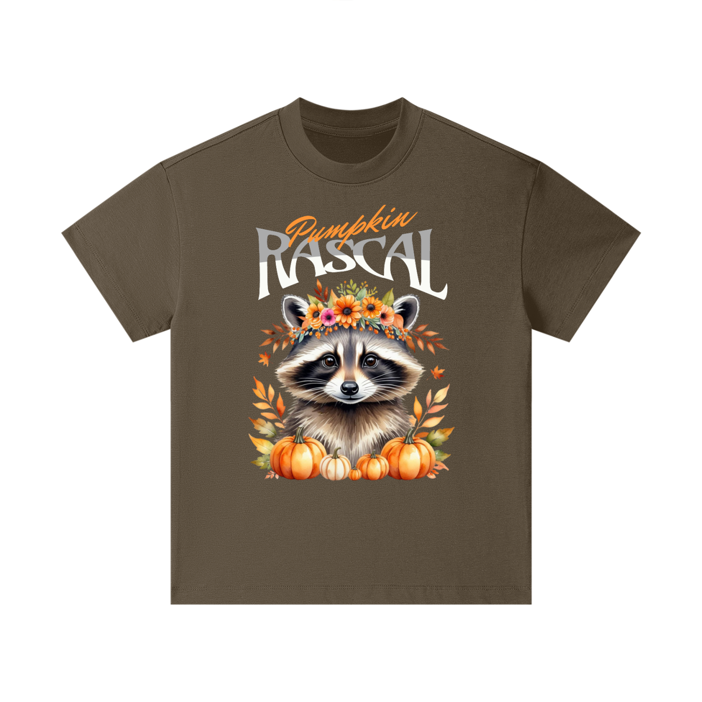 Raccoon,Pumpkin,Halloween,Nature