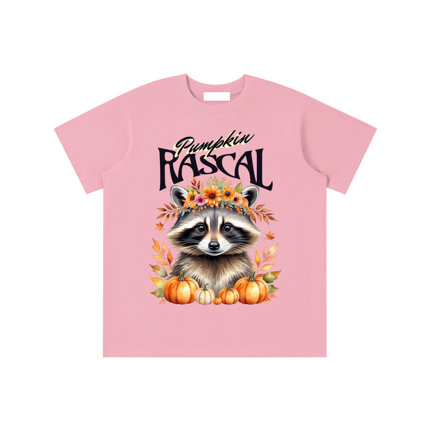 Autumn,Fall,Rascal,Raccoon,Cute