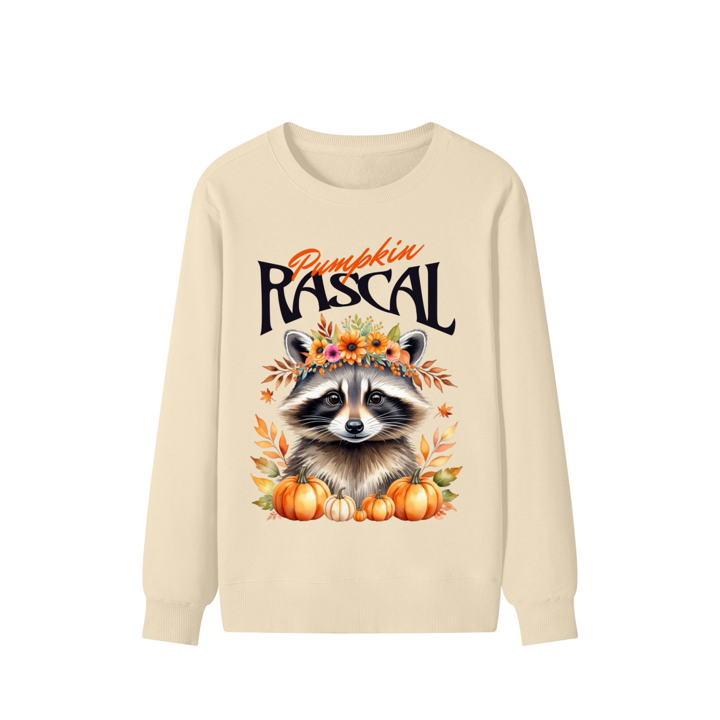 Raccoon,Pumpkin,Halloween,Nature