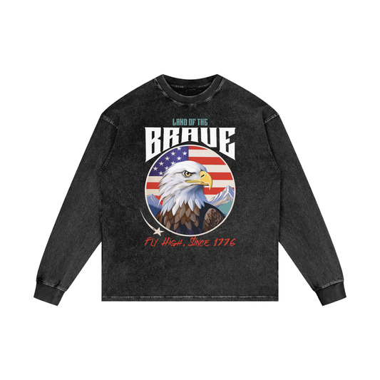 USA,Eagle,Land,Brave