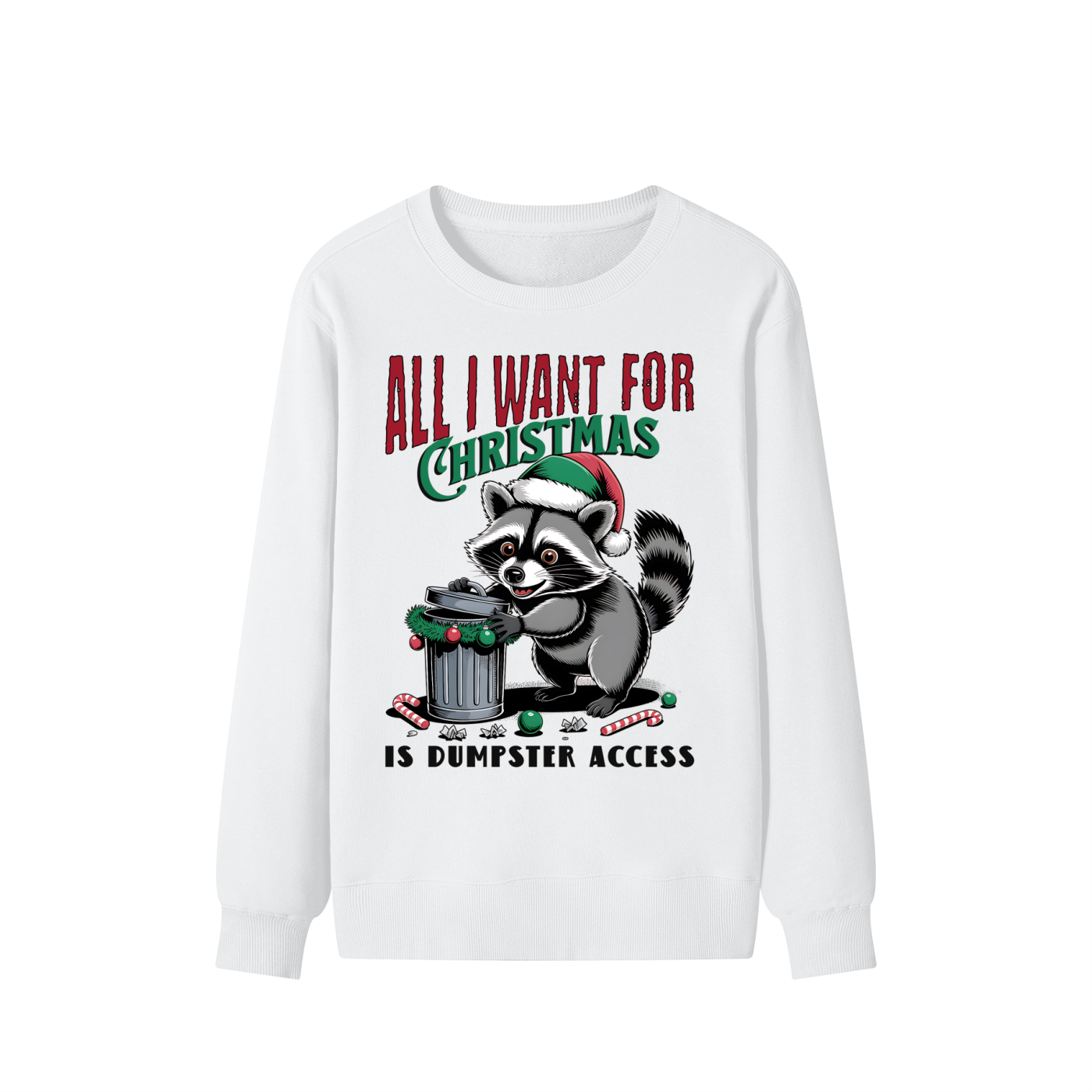 Christmas,Raccoon,Dumpster,Access