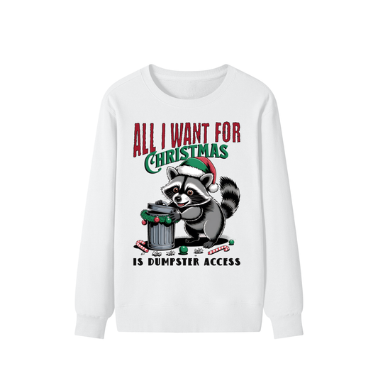 Christmas,Raccoon,Dumpster,Access