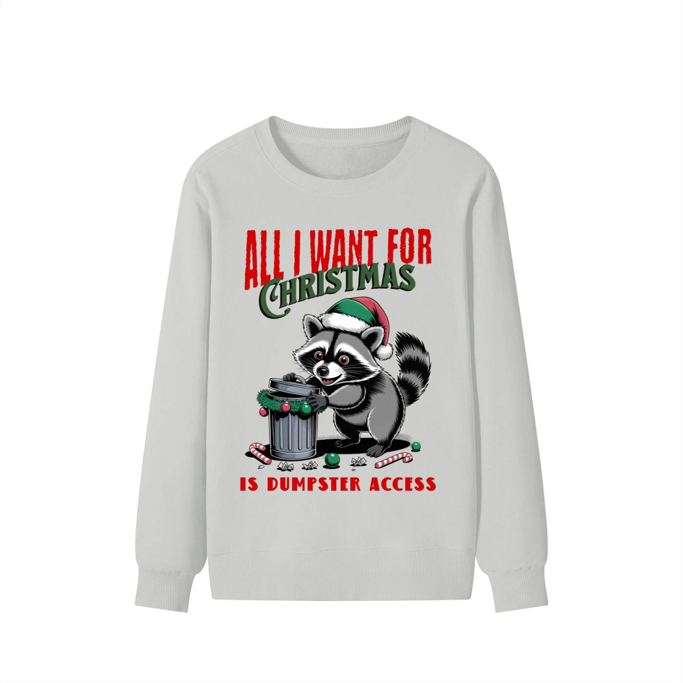 Christmas,Fun,Raccoon,Dumpster