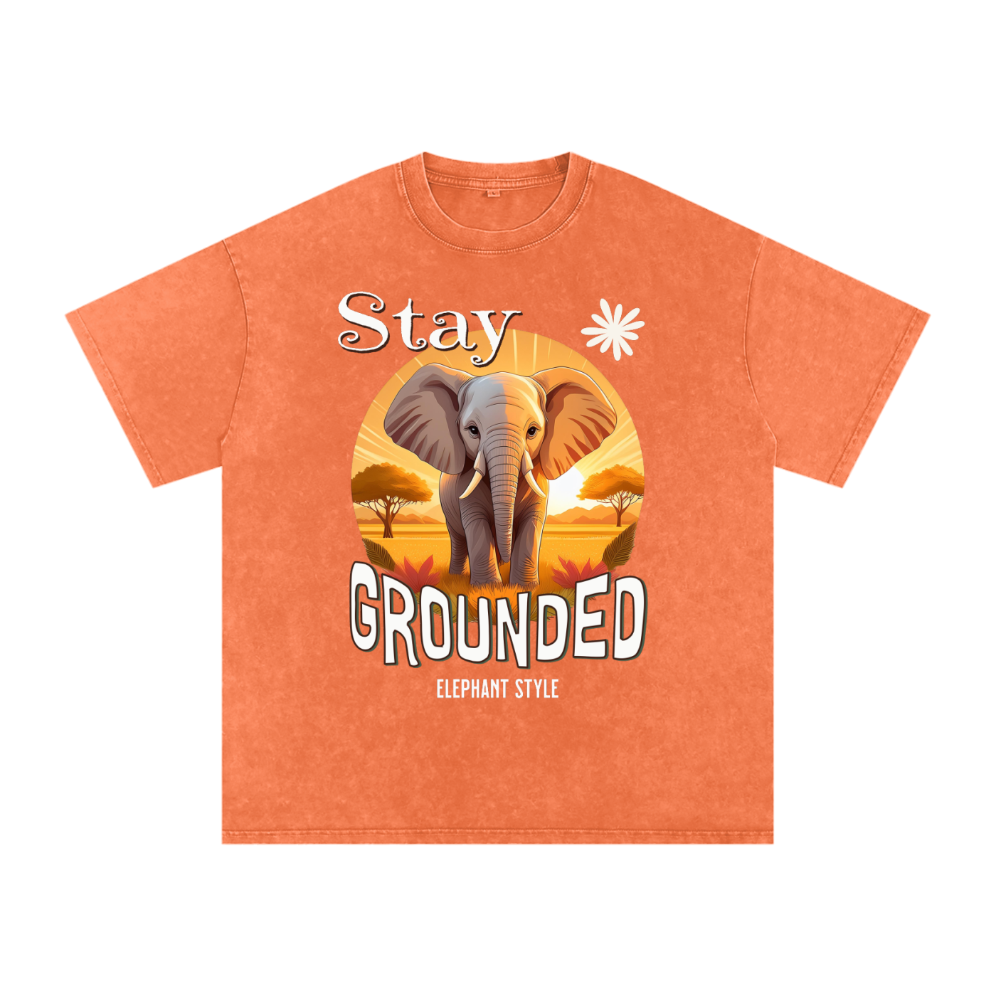 Elephant,Stay Grounded