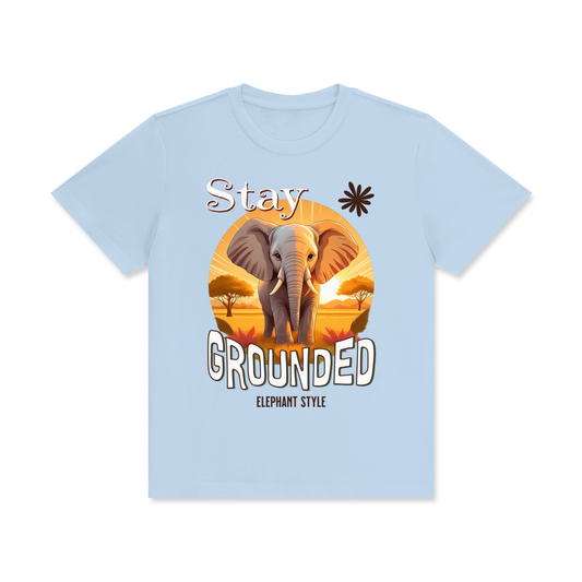 Elephant,Stay Grounded