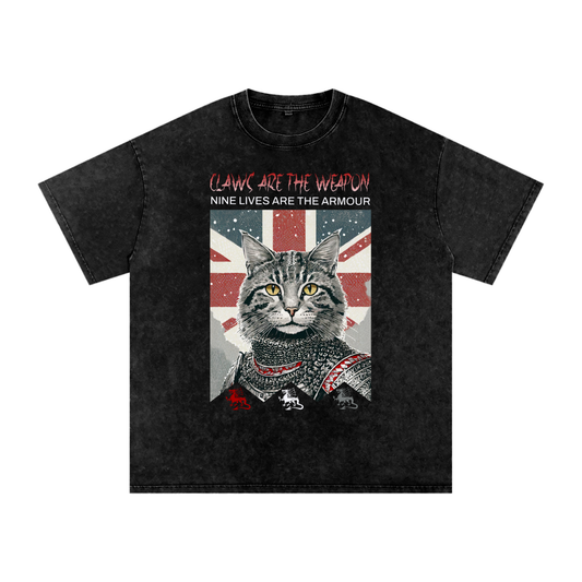 Knight,Cat,Claws,Armour