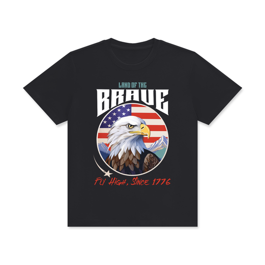USA,Eagle,Land,Brave