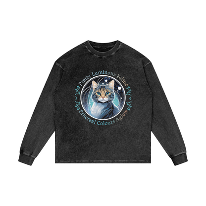 Pretty,Luminous ,Cat