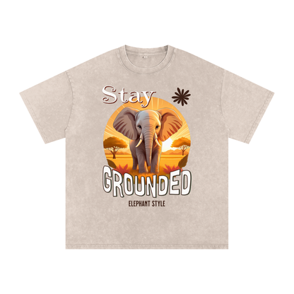 Elephant,Stay Grounded