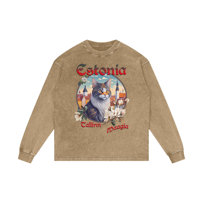 Cat,Estonia,Tallinn,Magic