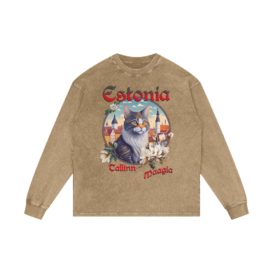 Cat,Estonia,Tallinn,Magic