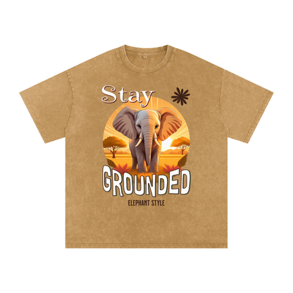 Elephant,Stay Grounded