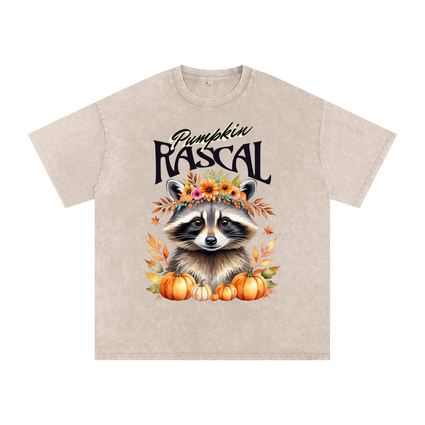 Autumn,Fall,Rascal,Raccoon,Cute
