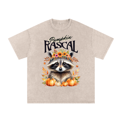 Autumn,Fall,Rascal,Raccoon,Cute
