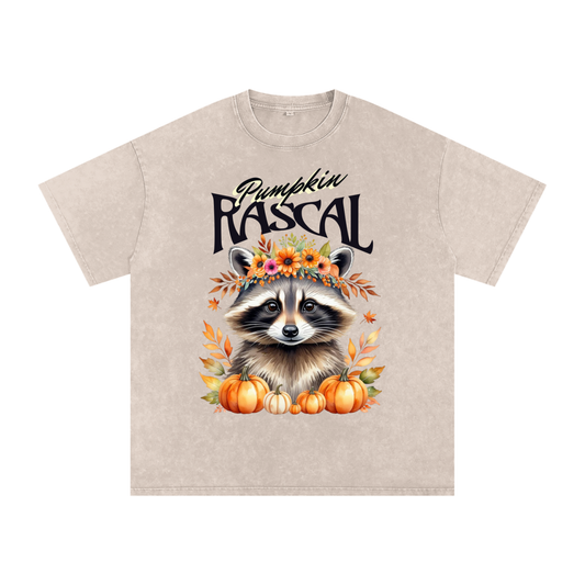Autumn,Fall,Rascal,Raccoon,Cute