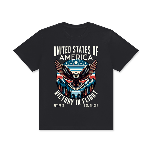 USA,Eagle,Victory,Flight
