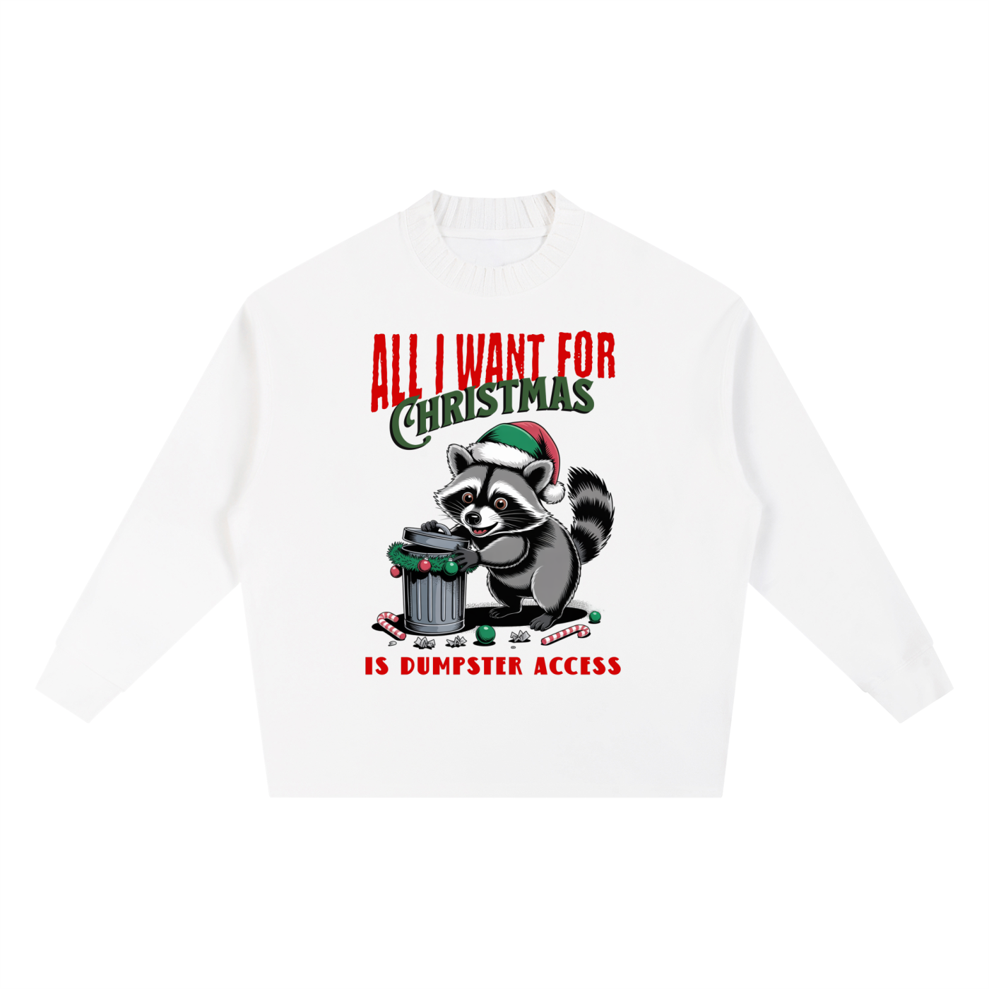 Christmas,Fun,Raccoon,Dumpster