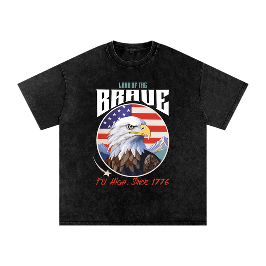 USA,Eagle,Land,Brave