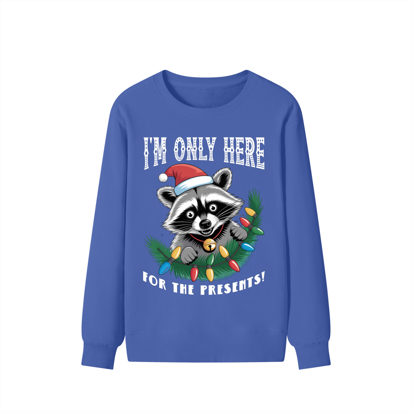 Christmas,Fun,Raccoon,Presents 