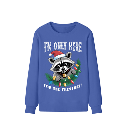 Christmas,Fun,Raccoon,Presents 