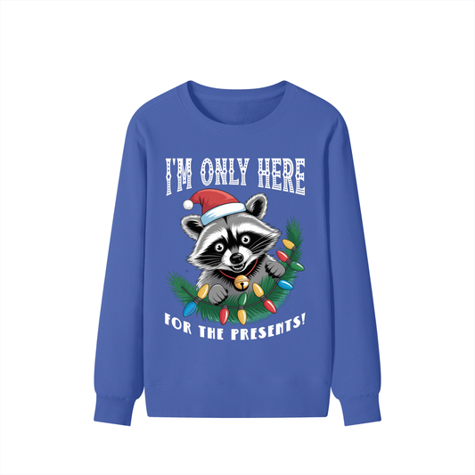 Christmas,Fun,Raccoon,Presents 