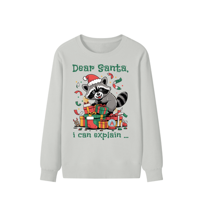 Christmas,Raccoon,Mischief,Presents