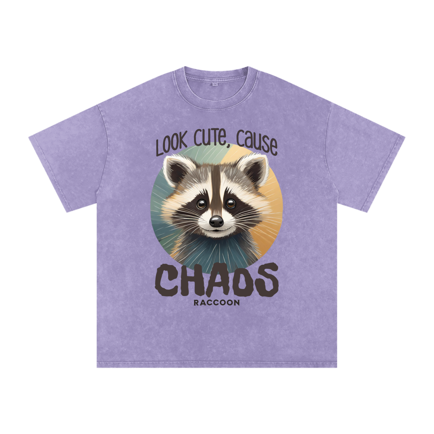 Raccoon,Cute,Chaos