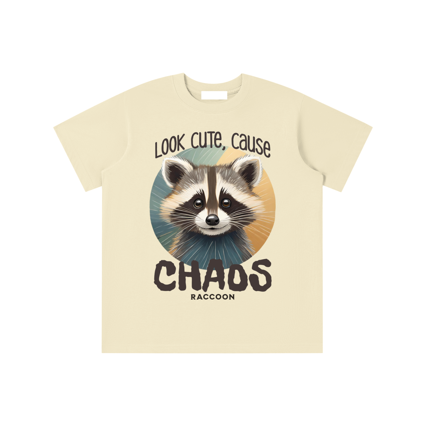 Raccoon,Cute,Chaos