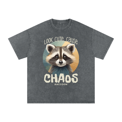 Raccoon,Cute,Chaos