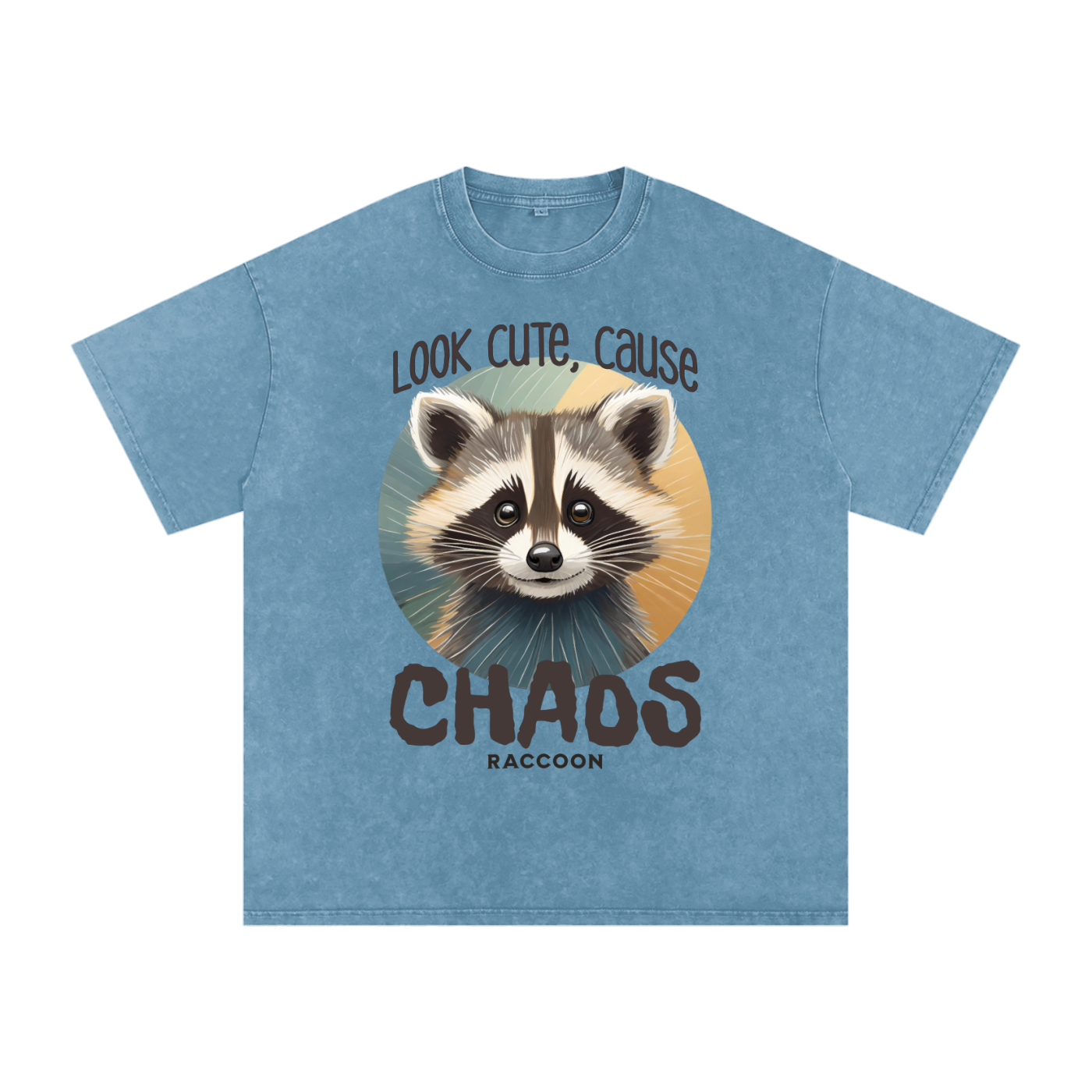 Raccoon,Cute,Chaos