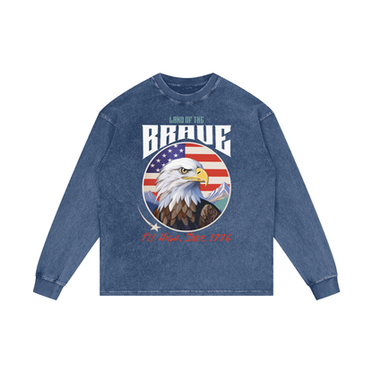 USA,Eagle,Land,Brave