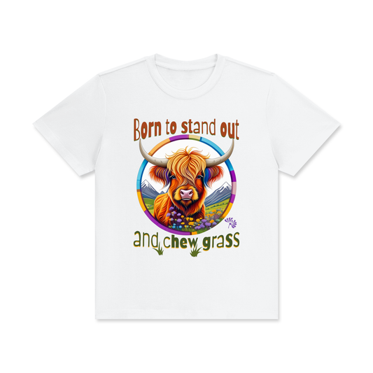 Highland Cow,Colourful,Quirky