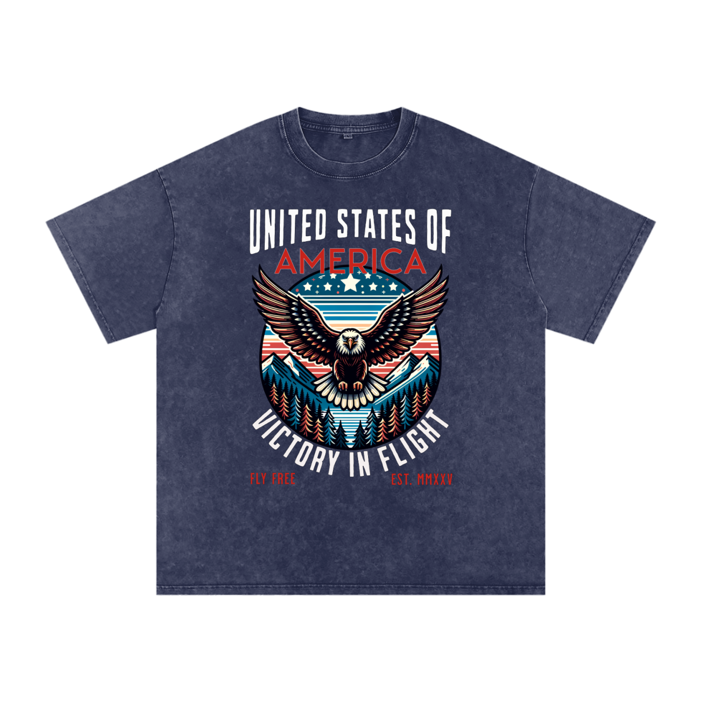 USA,Eagle,Victory,Flight