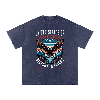 USA,Eagle,Victory,Flight
