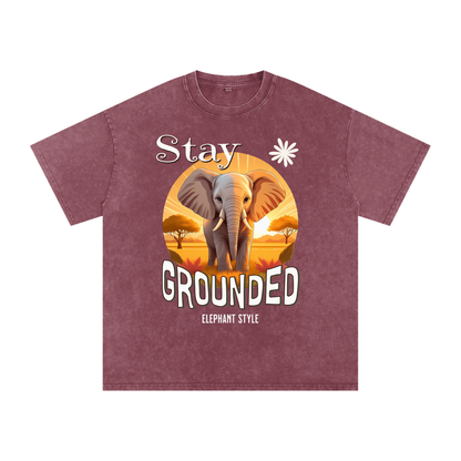 Elephant,Stay Grounded