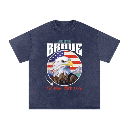 USA,Eagle,Land,Brave