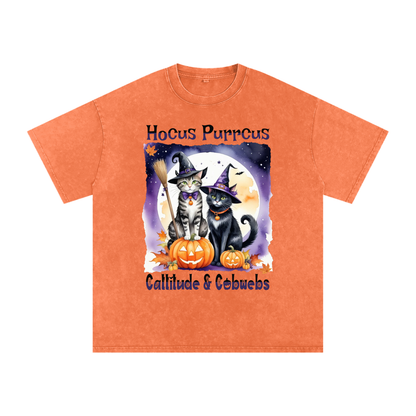 Halloween,Hocus Purrcus,Cats