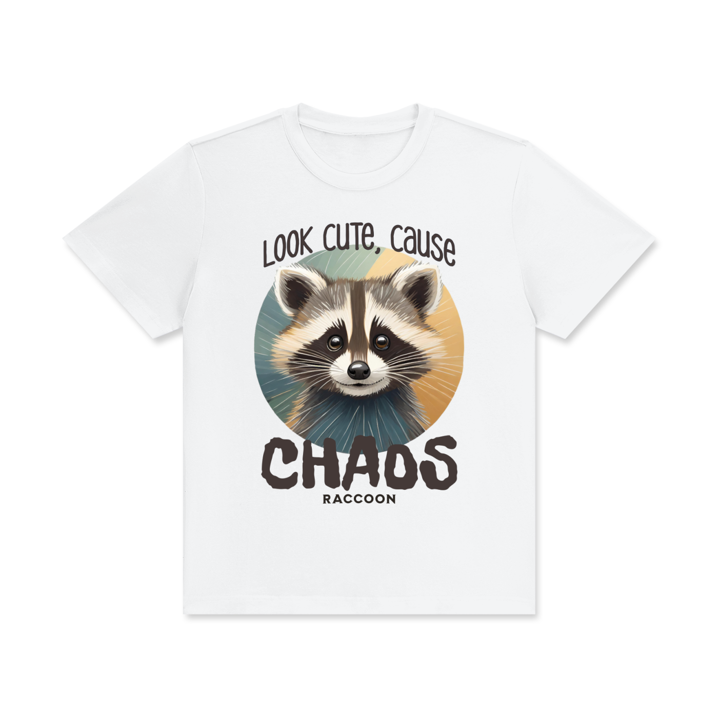 Raccoon,Cute,Chaos