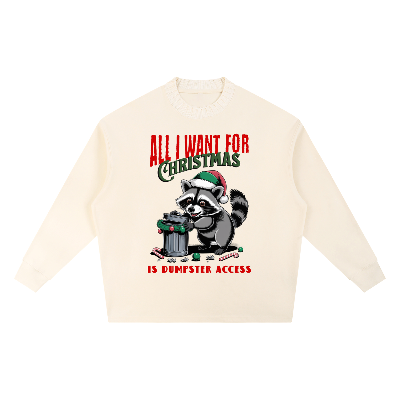 Christmas,Fun,Raccoon,Dumpster