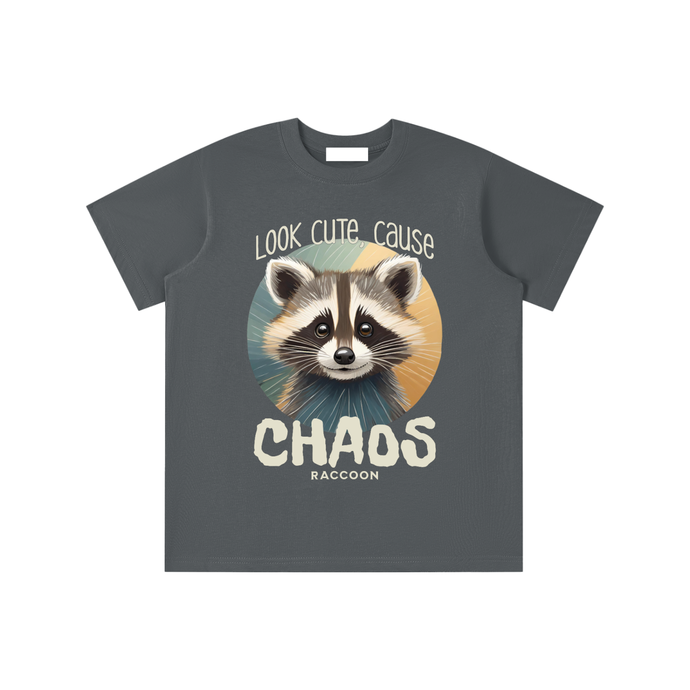 Raccoon,Cute,Chaos