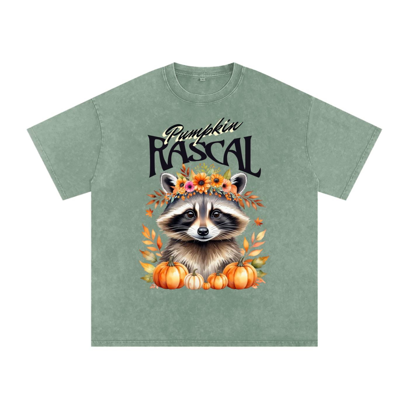 Autumn,Fall,Rascal,Raccoon,Cute