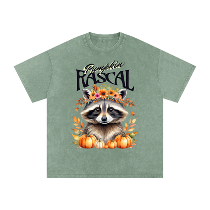 Autumn,Fall,Rascal,Raccoon,Cute