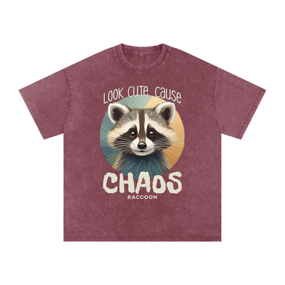 Raccoon,Cute,Chaos