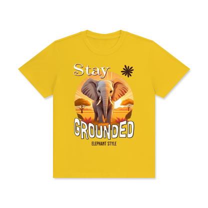 Elephant,Stay Grounded