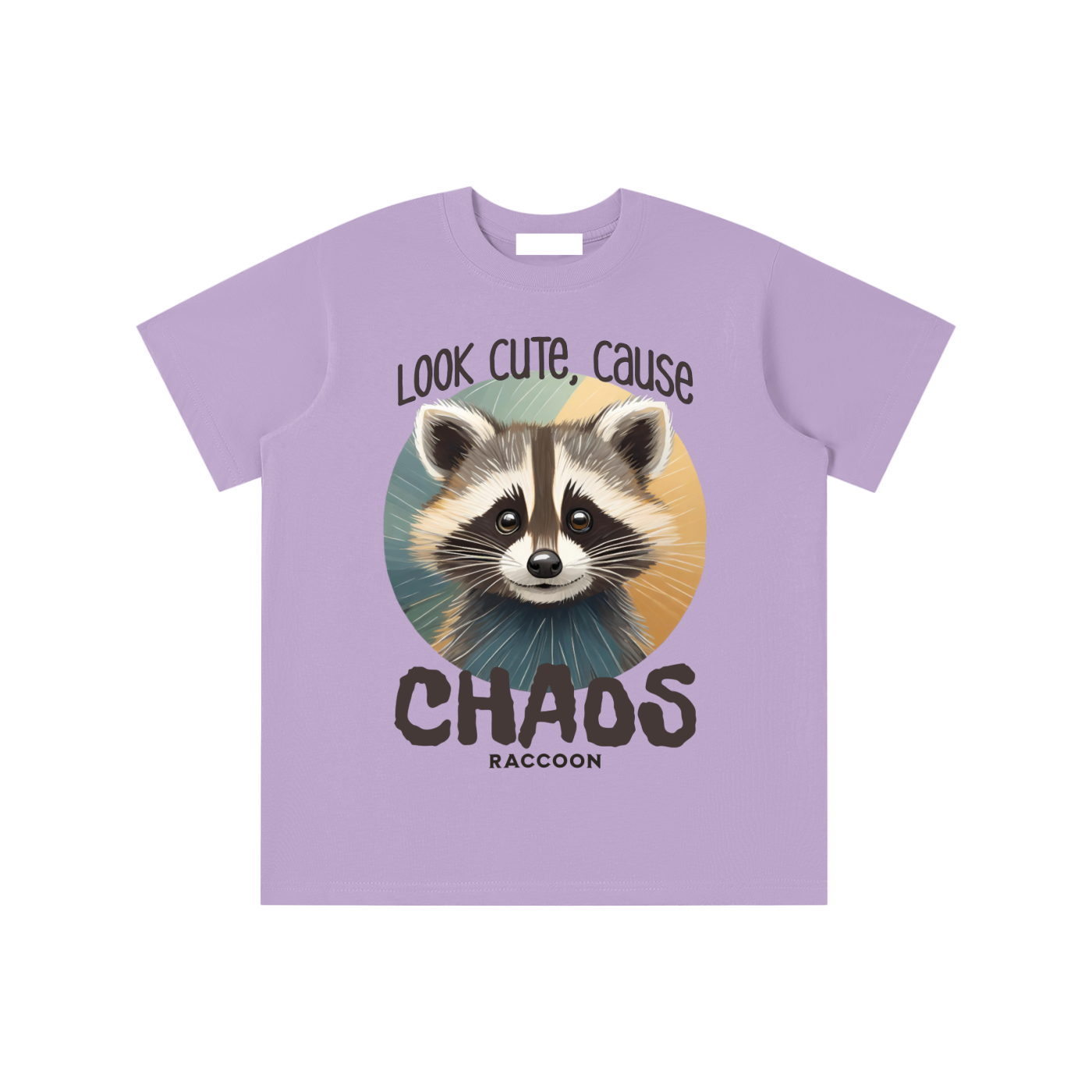 Raccoon,Cute,Chaos