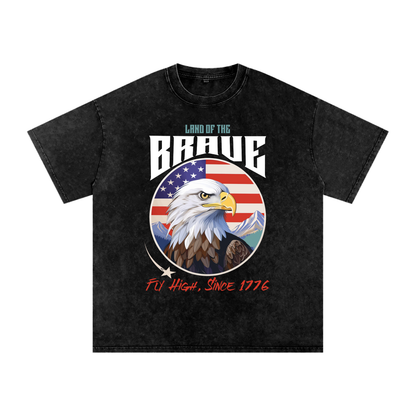 USA,Eagle,Land,Brave