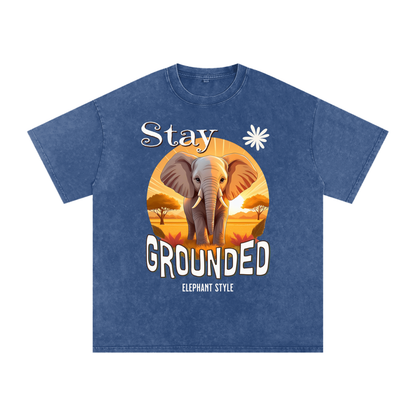 Elephant,Stay Grounded