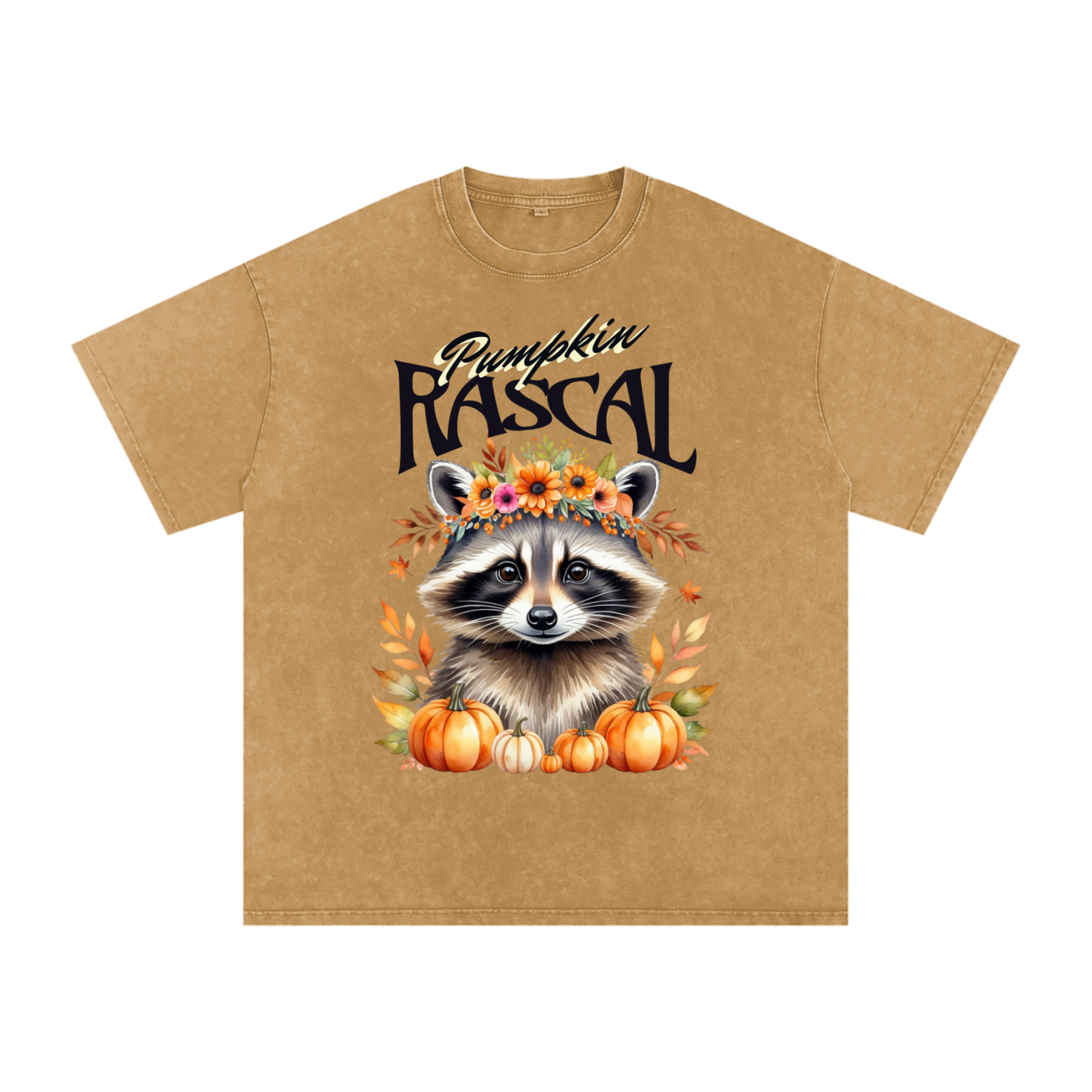 Autumn,Fall,Rascal,Raccoon,Cute