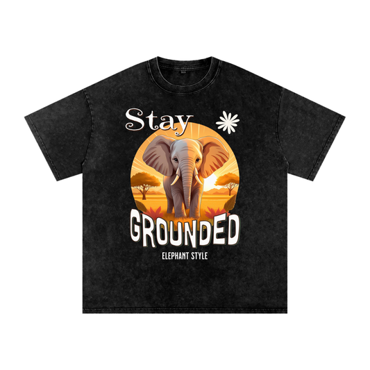 Elephant,Stay Grounded